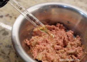 HolistaPet CBD Oil for Cats: A Comprehensive Review
