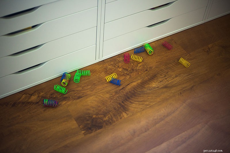 Understanding Why Cats Chew Plastic: Risks & How to Stop It