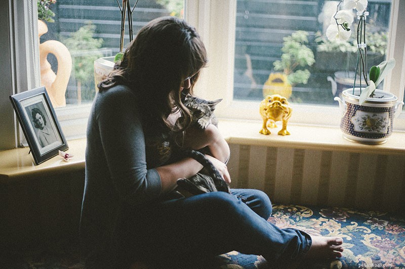 11 Proven Ways to Encourage Your Cat to Snuggle More