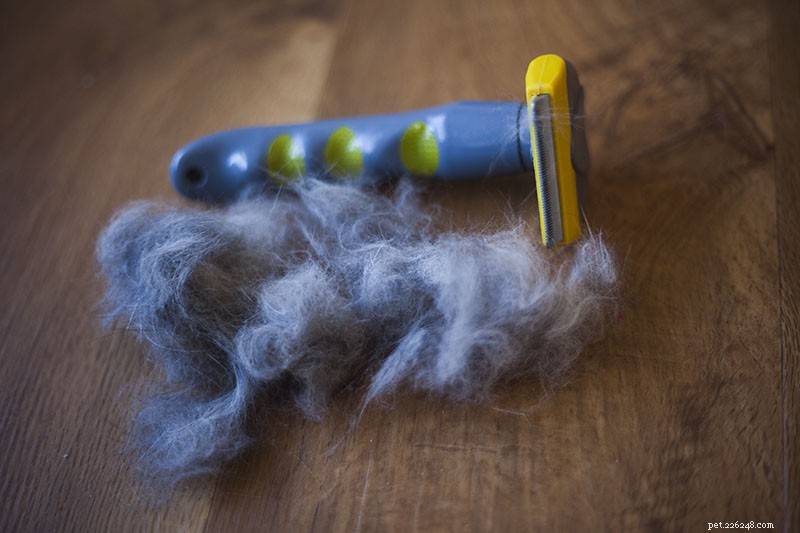 Effortless Cat Grooming: How a Deshedding Tool Keeps Your Feline Fluffy and Your Home Clean