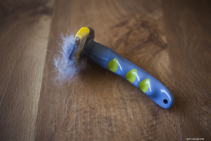 Effortless Cat Grooming: How a Deshedding Tool Keeps Your Feline Fluffy and Your Home Clean