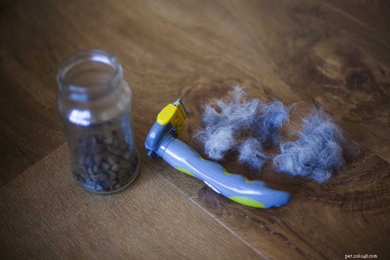 Effortless Cat Grooming: How a Deshedding Tool Keeps Your Feline Fluffy and Your Home Clean