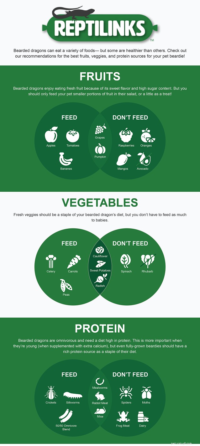 Optimal Diet for Bearded Dragons: What to Feed Your Pet for Health and Longevity