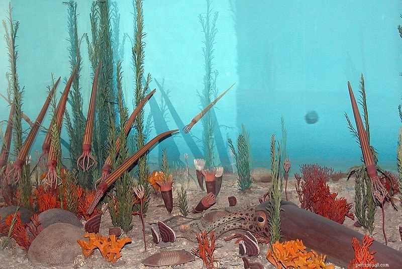 Unveiling the Giant Sea Scorpions: The World s Largest Ancient Arachnids