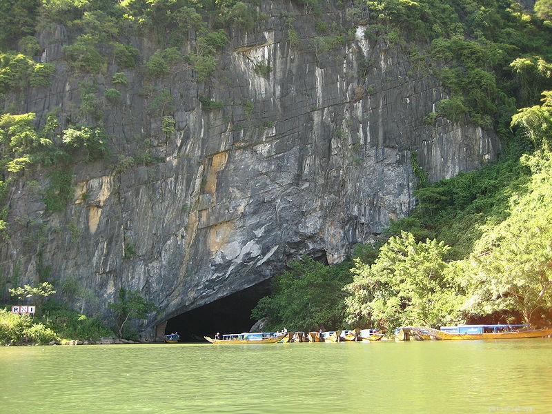 New Discoveries in Southeast Asia: Yellow‑Eyed Vipers, Red‑Eyed Vipers, and a Giant Underground River Cave