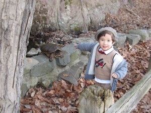 Record-Breaking Giant Snapping Turtles: Findings from an 84,000-Individual Survey