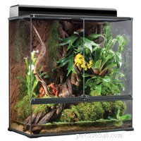Comprehensive Emerald Tree Boa Care: Terrarium Setup, Husbandry, and Diet