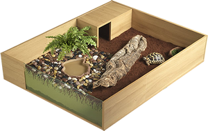 Tortoise Housing Debate: Table-Top Enclosures vs. Enclosed Wooden Vivariums