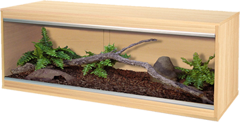 Tortoise Housing Debate: Table-Top Enclosures vs. Enclosed Wooden Vivariums
