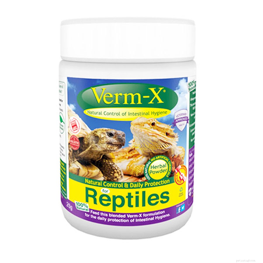 Reptile Anorexia: Causes, Prevention, and Effective Solutions
