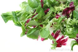 Essential Guide to Reptile-Friendly Fruits and Vegetables