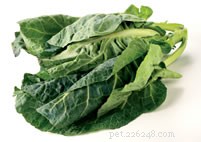 Essential Guide to Reptile-Friendly Fruits and Vegetables