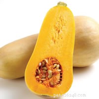 Essential Guide to Reptile-Friendly Fruits and Vegetables