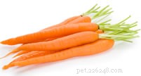 Essential Guide to Reptile-Friendly Fruits and Vegetables