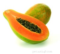 Essential Guide to Reptile-Friendly Fruits and Vegetables