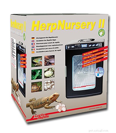 Herp Nursery Incubators: Egg‑O‑Bator & Expert Breeding Advice for Dwarf & Albino Boas