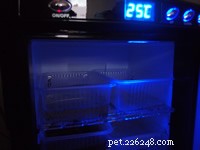 Herp Nursery Incubators: Egg‑O‑Bator & Expert Breeding Advice for Dwarf & Albino Boas