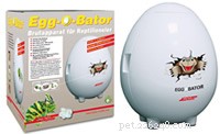 Herp Nursery Incubators: Egg‑O‑Bator & Expert Breeding Advice for Dwarf & Albino Boas