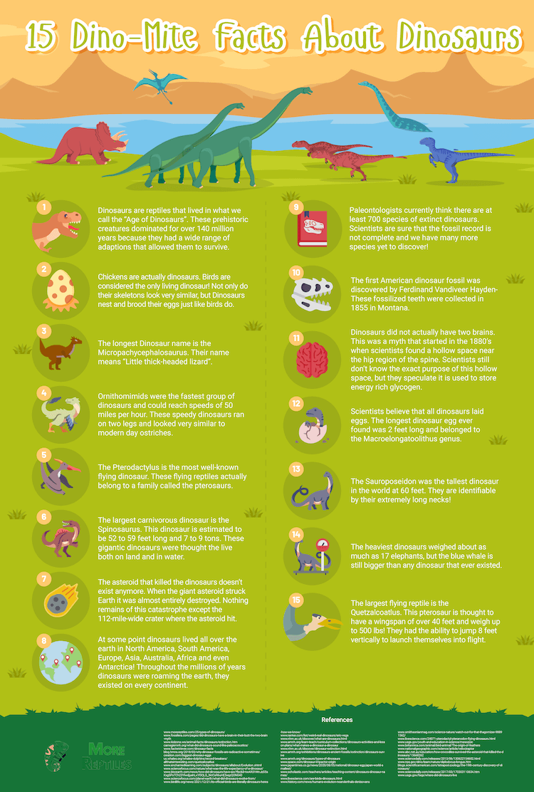 75 Proven Dinosaur Facts You Probably Haven’t Heard