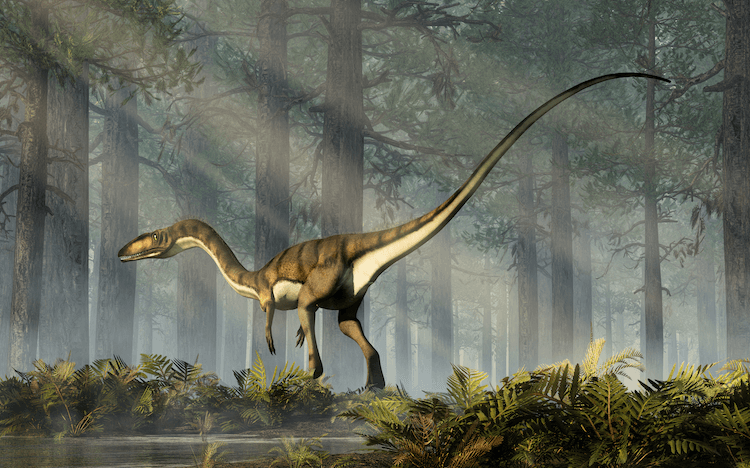 Explore 25+ Dinosaurs: An A‑Z Guide to the World s Most Famous Species