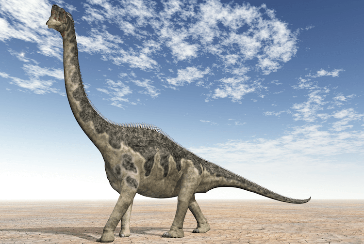Explore 25+ Dinosaurs: An A‑Z Guide to the World s Most Famous Species