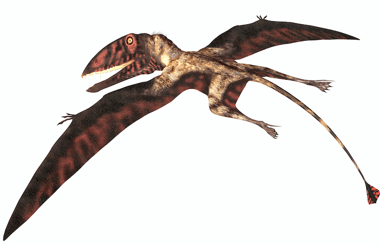 Explore 25+ Dinosaurs: An A‑Z Guide to the World s Most Famous Species