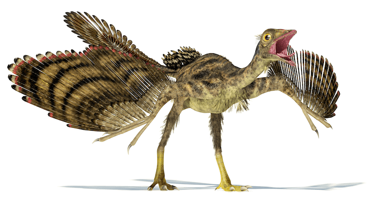 Explore 25+ Dinosaurs: An A‑Z Guide to the World s Most Famous Species