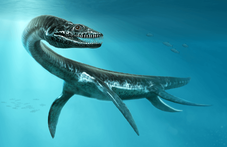 Explore 25+ Dinosaurs: An A‑Z Guide to the World s Most Famous Species