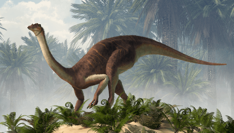 Explore 25+ Dinosaurs: An A‑Z Guide to the World s Most Famous Species