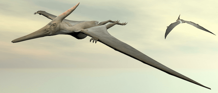 Explore 25+ Dinosaurs: An A‑Z Guide to the World s Most Famous Species