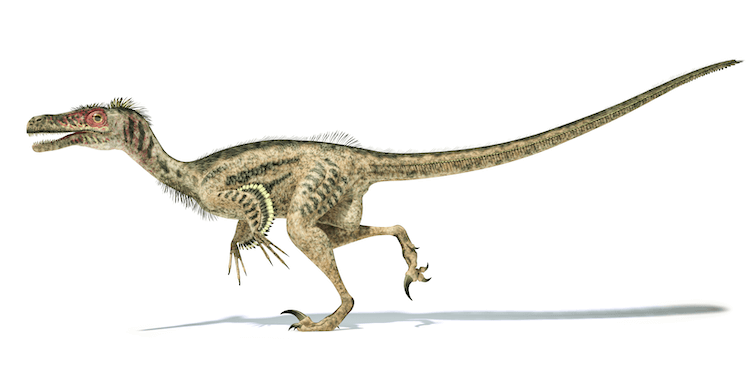 Explore 25+ Dinosaurs: An A‑Z Guide to the World s Most Famous Species