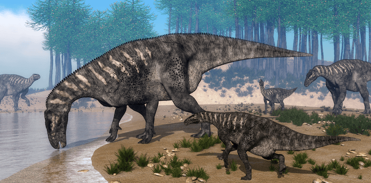Explore 25+ Dinosaurs: An A‑Z Guide to the World s Most Famous Species