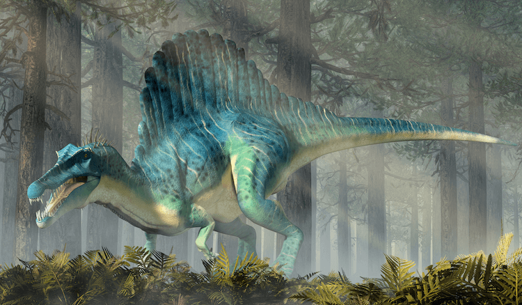 Explore 25+ Dinosaurs: An A‑Z Guide to the World s Most Famous Species