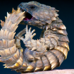 Comprehensive Armadillo Lizard Care Guide: Facts, Price, Lifespan & More