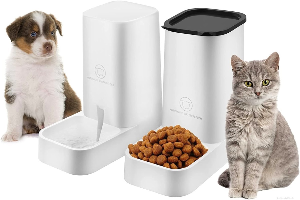 Seeking a New Year’s Resolution That Benefits Both You and Your Pet