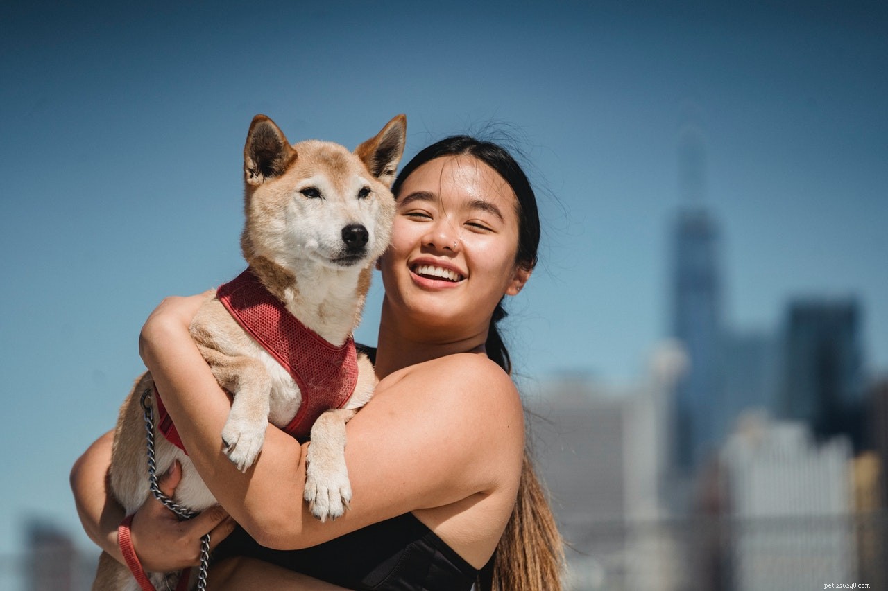 Top 5 TikTok Veterinarians to Follow for Pet Care Inspiration