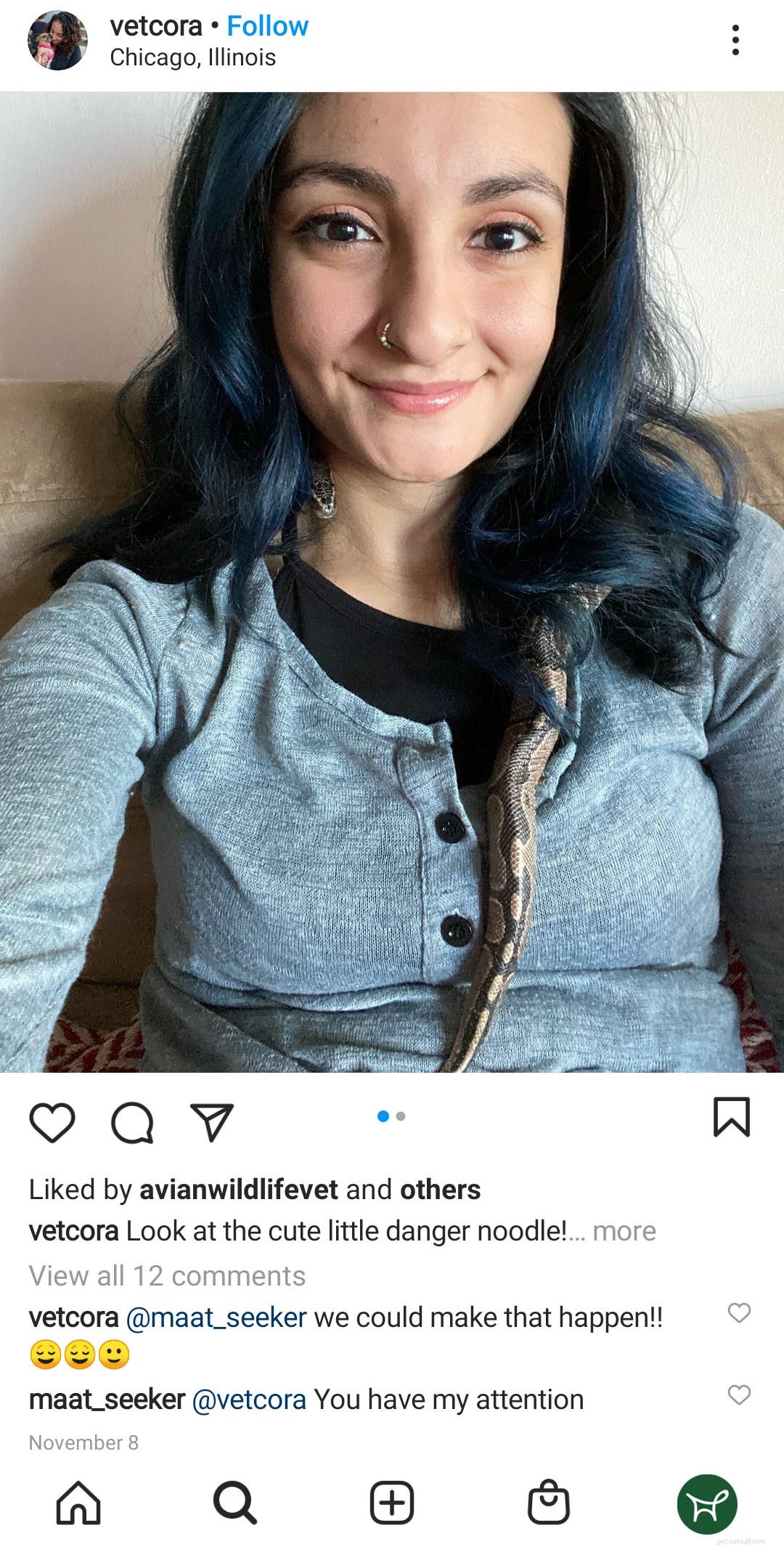 Complete Beginner s Guide to Caring for Ball Pythons