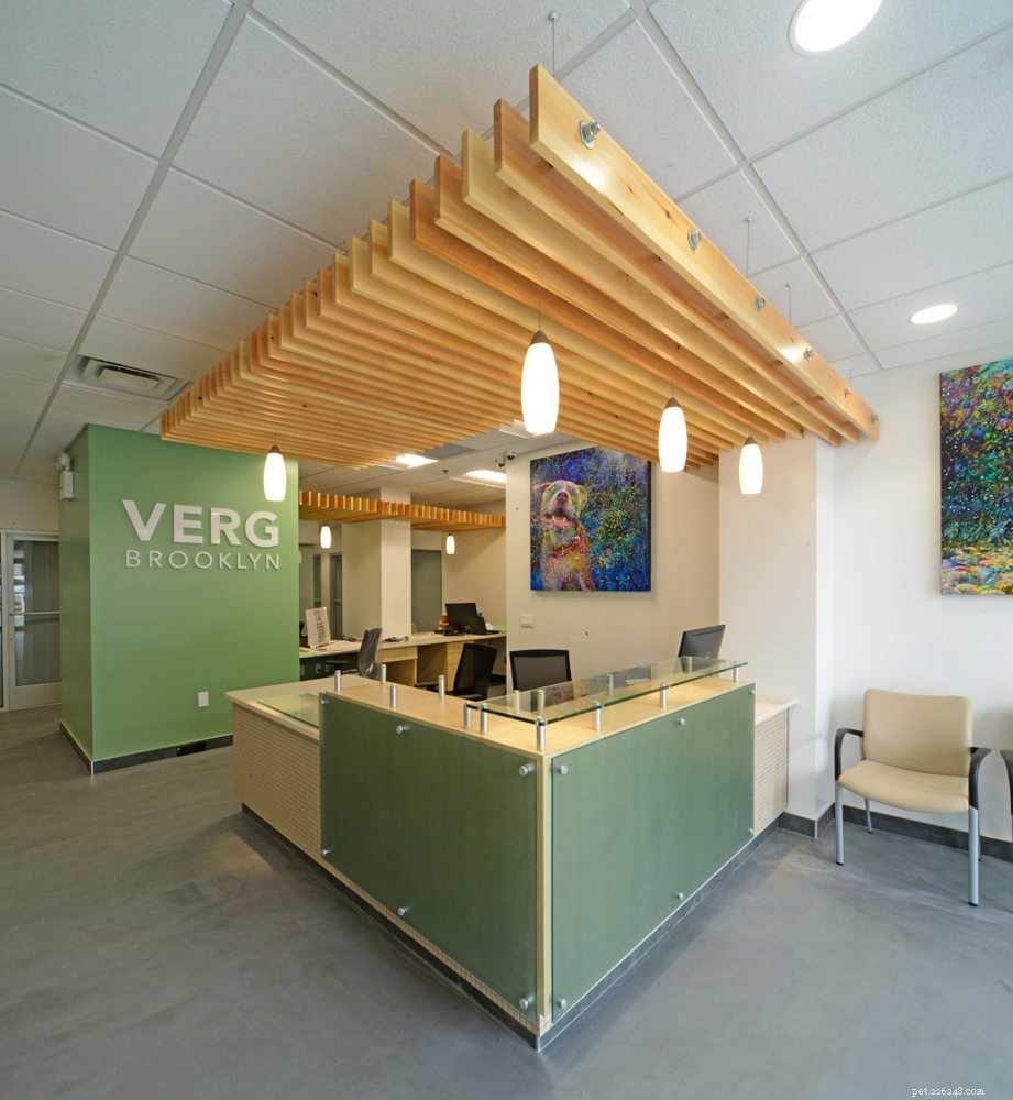 Top 9 Trusted Veterinarians in Brooklyn for Your Pet s Health