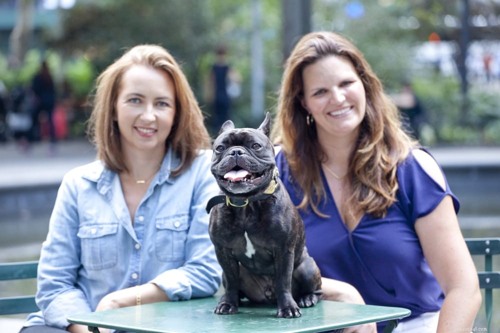 Top 9 Trusted Veterinarians in Brooklyn for Your Pet s Health