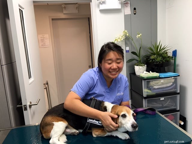Top 9 Trusted Veterinarians in Brooklyn for Your Pet s Health