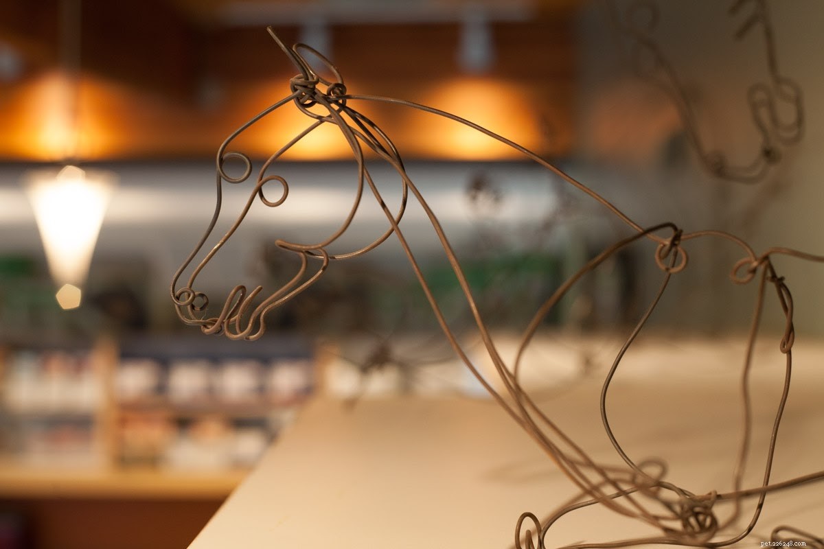 Your Comprehensive Guide to Portland’s Premier Veterinarians