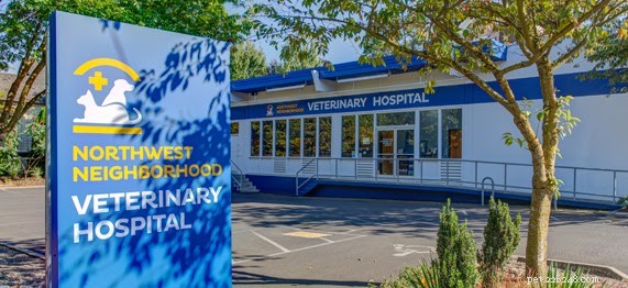 Your Comprehensive Guide to Portland’s Premier Veterinarians
