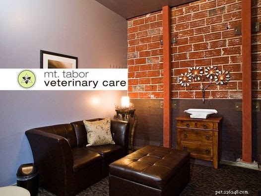 Your Comprehensive Guide to Portland’s Premier Veterinarians