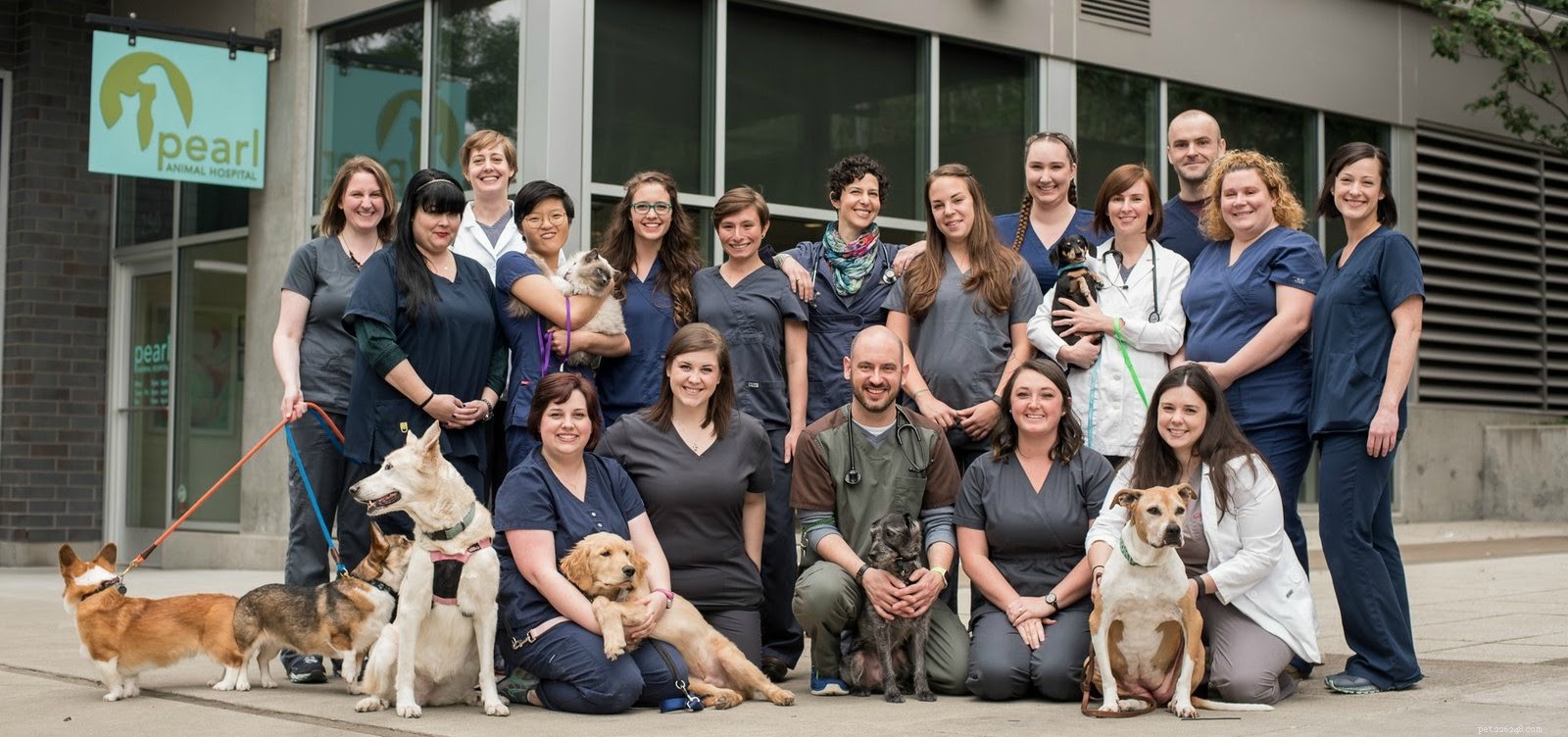 Your Comprehensive Guide to Portland’s Premier Veterinarians