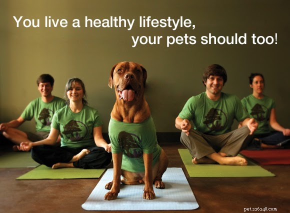 Your Comprehensive Guide to Portland’s Premier Veterinarians