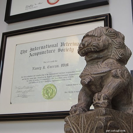 Your Comprehensive Guide to Portland’s Premier Veterinarians