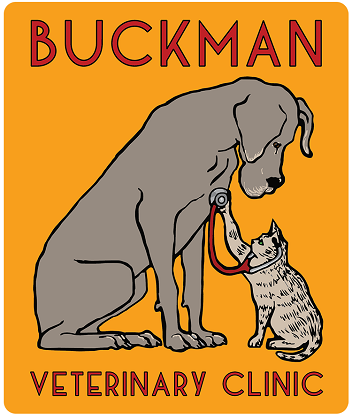 Your Comprehensive Guide to Portland’s Premier Veterinarians