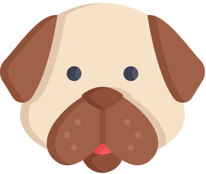 Top Brooklyn Vets: Expert Care for Your Pets