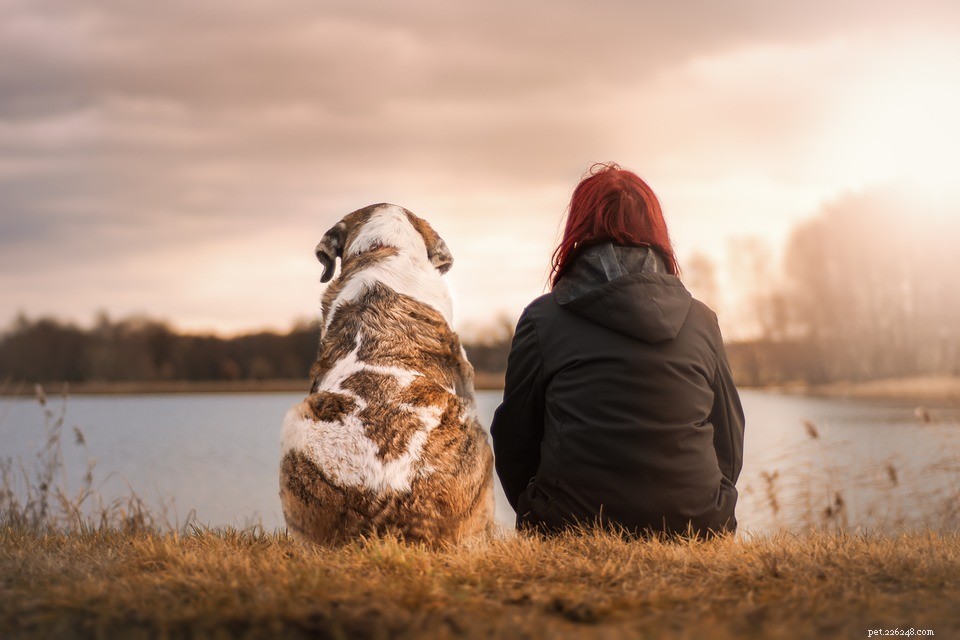 Top Brooklyn Vets: Expert Care for Your Pets