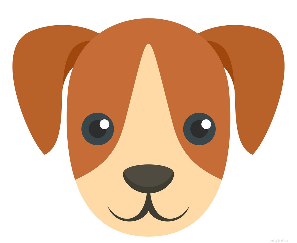 Top Brooklyn Vets: Expert Care for Your Pets